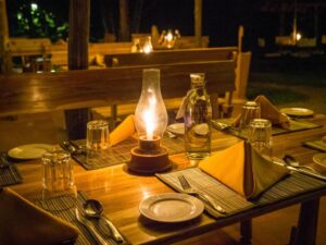 Best Kerala Resorts