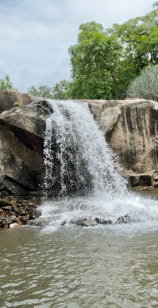 5 Beautiful Waterfalls in Gujarat You Must See