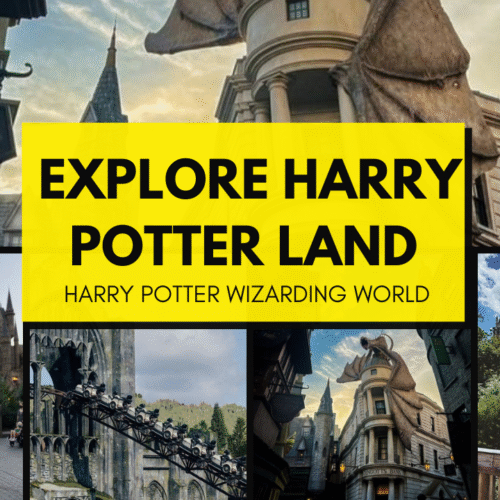 harry potter world