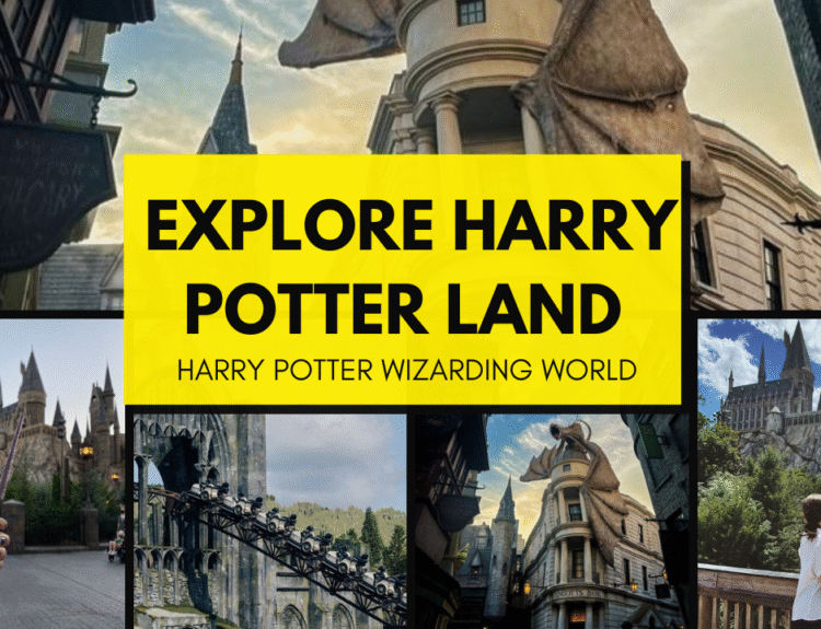 harry potter world