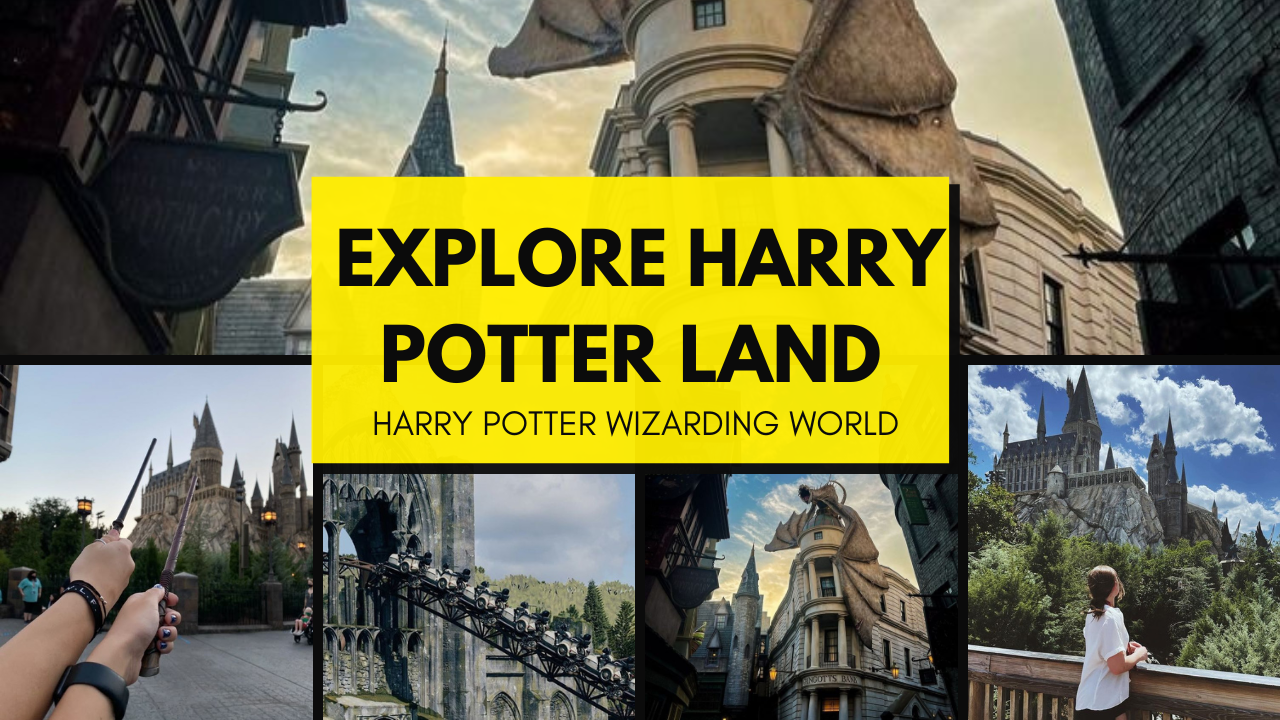 harry potter world