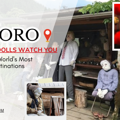 Doll Watch You - japan