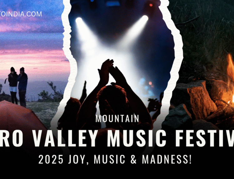 ziro valley music fest
